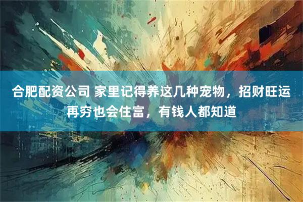 合肥配资公司 家里记得养这几种宠物，招财旺运再穷也会住富，有钱人都知道